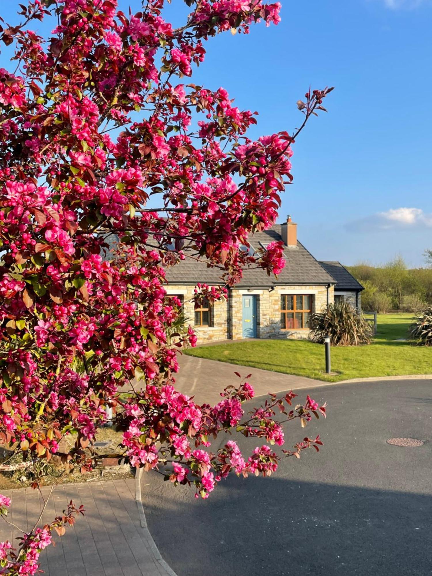 Donegal Boardwalk Resort Carrigart Exterior foto